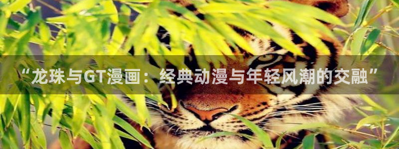 韩国漫画漫免费观看